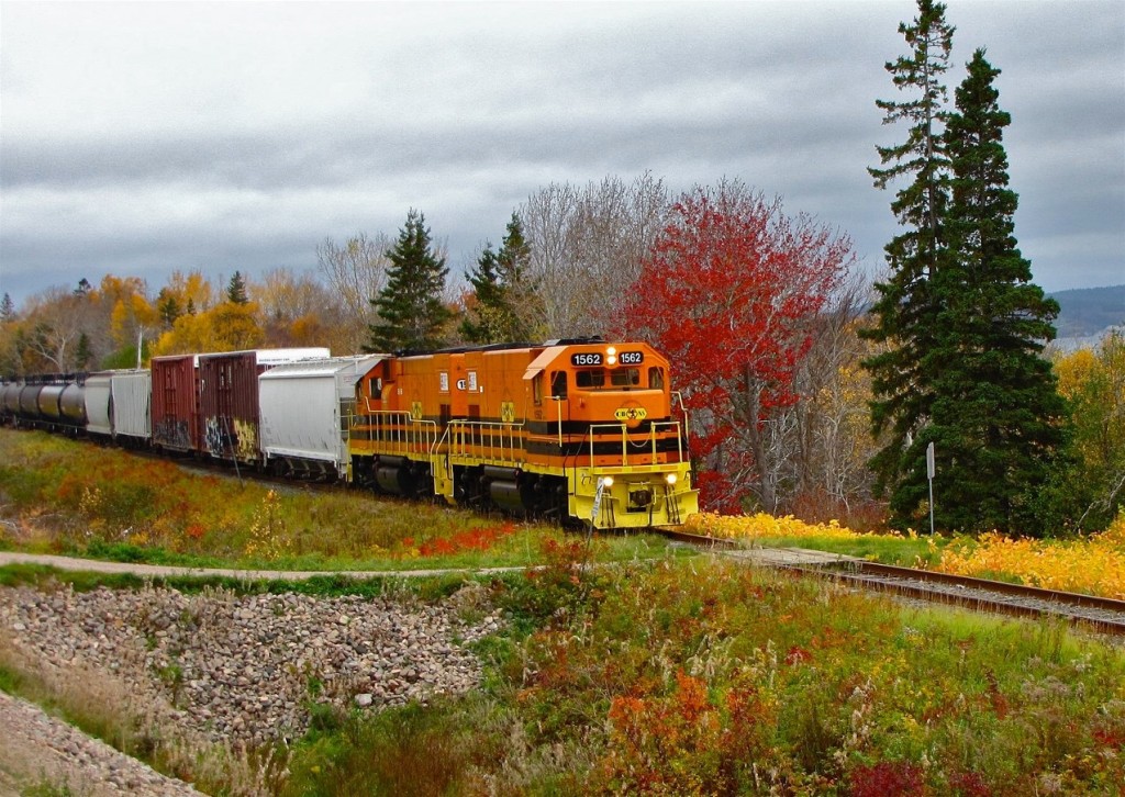 Freight train led by two orange and yellow locomotives in centre of image, surrounded by fall foliage under an overcast sky.